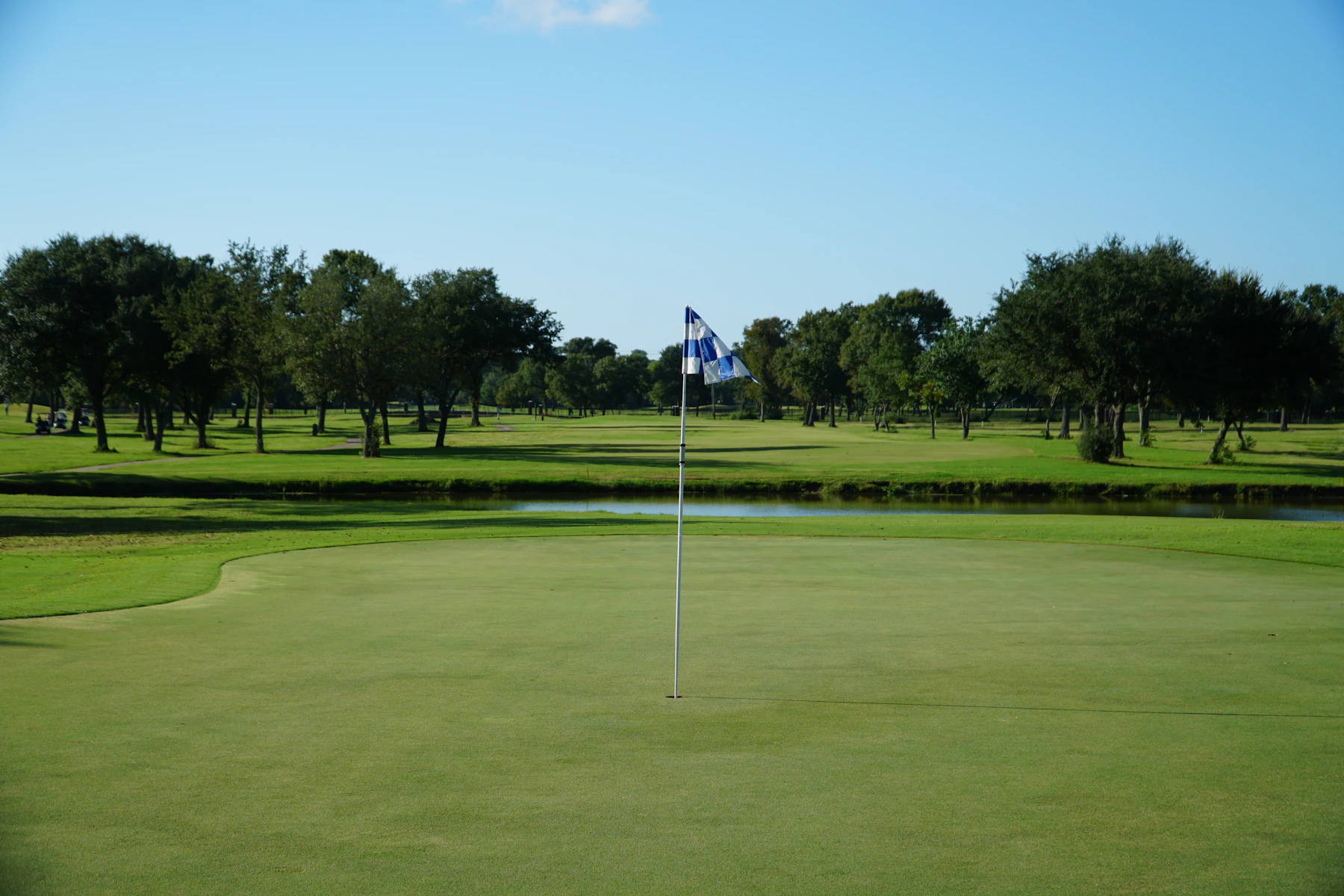 A golf course with a flag on the putting green and a tree-lined fairway